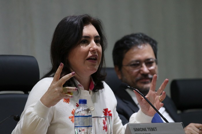 Simone: 'O Congresso terá sensibilidade para avaliar e votar com rapidez o novo arcabouço fiscal' - Antonio Cruz/Agência Brasil