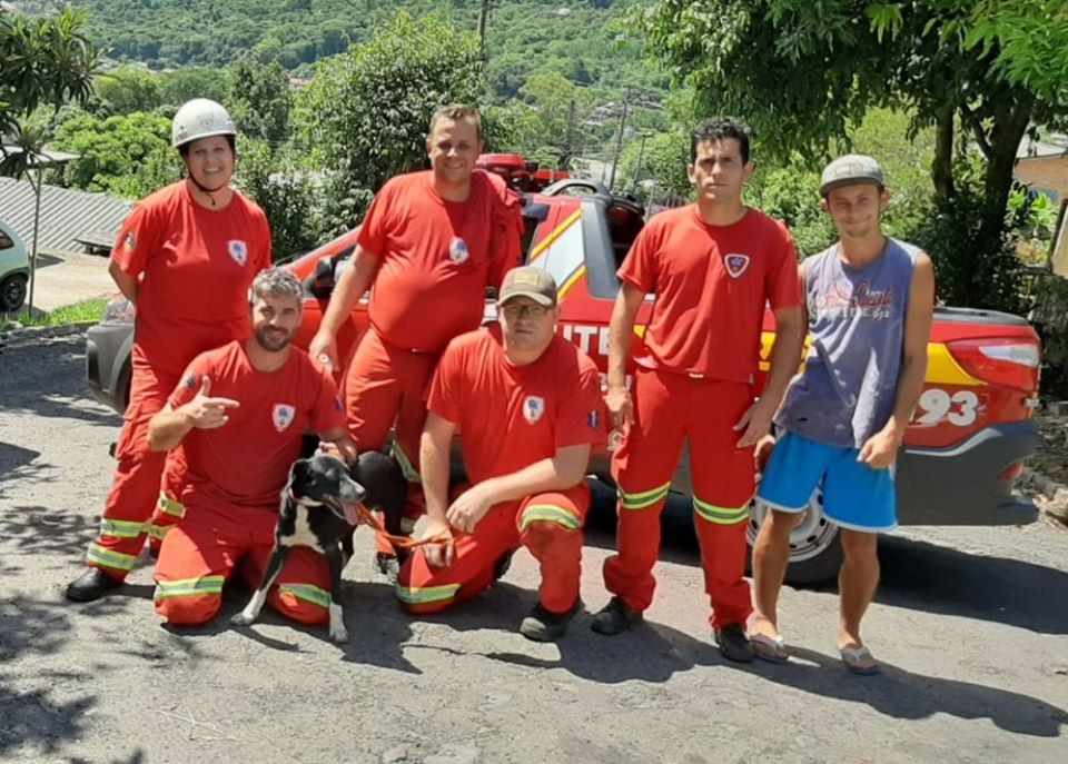 Foto: Divulgação