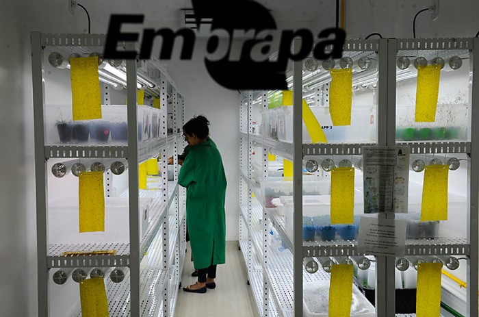 Os resultados da pesquisa agropecuária desenvolvida pela Embrapa serão discutidos pela CRA - Marcos Oliveira/Agência Senado