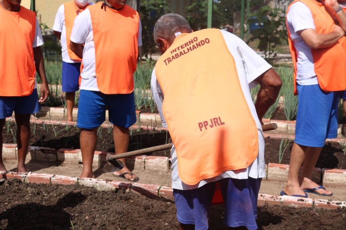 Foto: Reprodução/Secom Piauí