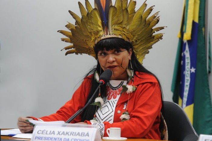 Célia Xakriabá, autora do requerimento - (Foto: Renato Araújo/Câmara dos Deputados)