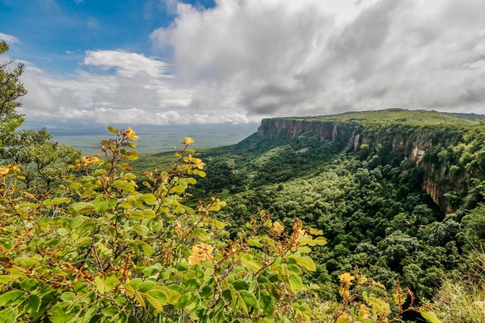 Foto: Reprodução/Secom Piauí