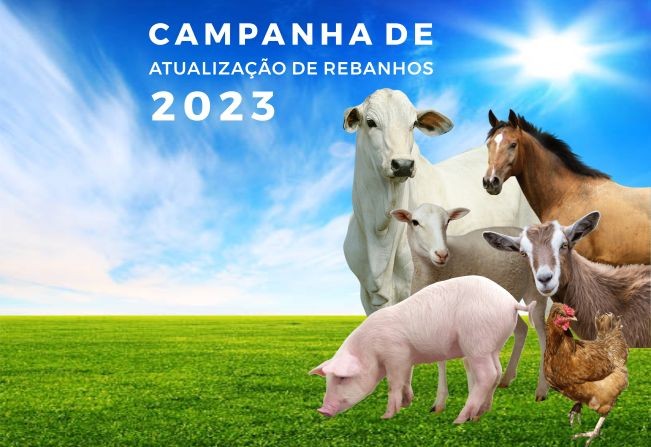 Foto: Reprodução/Prefeitura de Piraí do Sul - PR