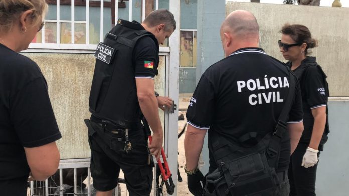 Foto: Polícia Civil./Divulgação.