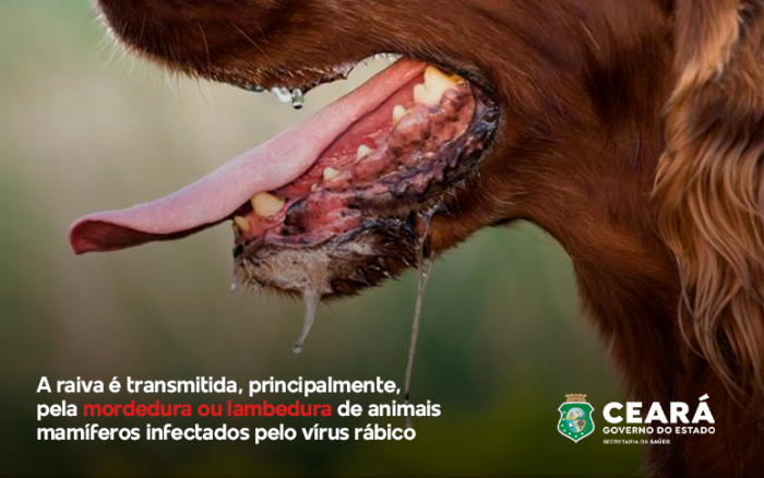Foto: Reprodução/Secom Ceará