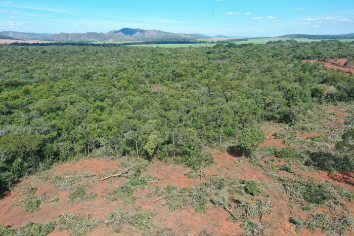 Foto: Reprodução/Secom Goiás