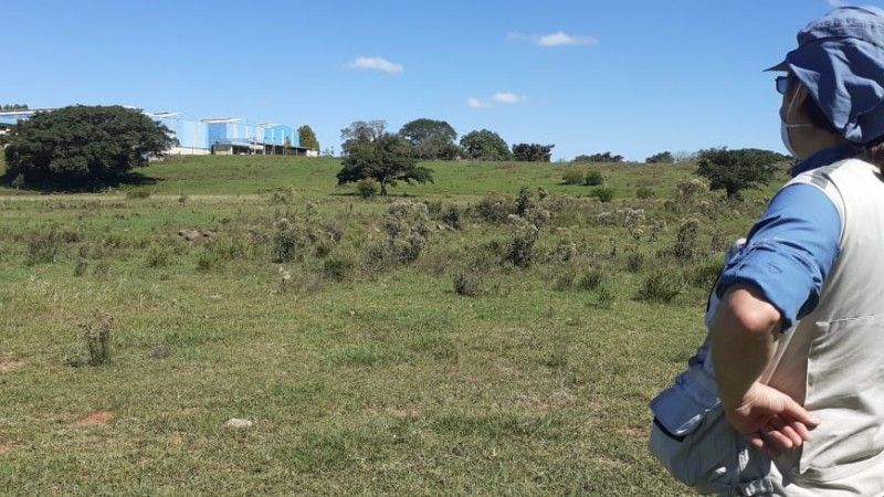 No local, empresa pretende construir uma fábrica para a produção de chapas retangulares e bobinas de aço - Foto: Daniella Foerster