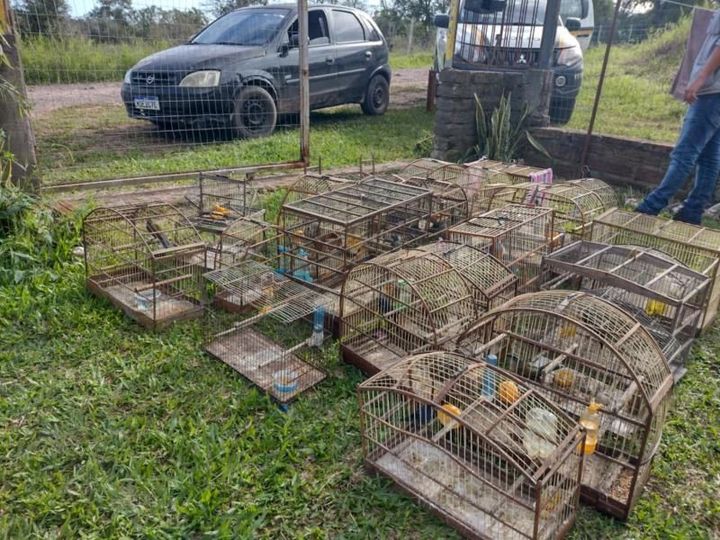 Foto: Divulgação