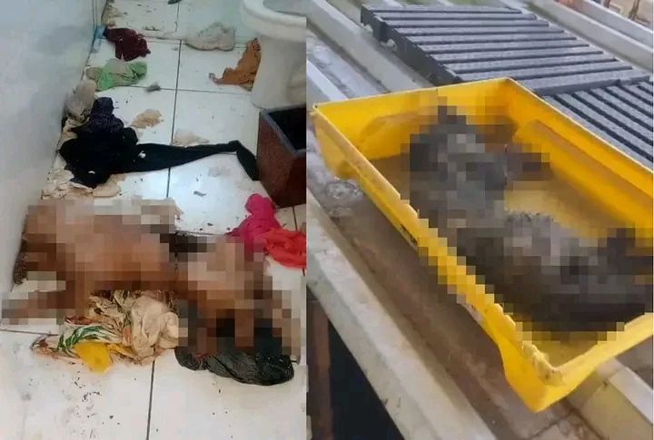 Foto: Divulgação / Polícia Civil