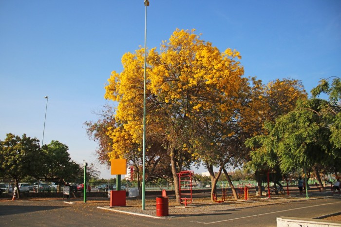Foto: Reprodução/Prefeitura de Petrolina - PE