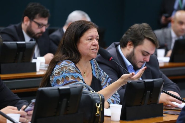 Laura Carneiro recomendou a aprovação da proposta - (Foto: Vinicius Loures/Câmara dos Deputados)
