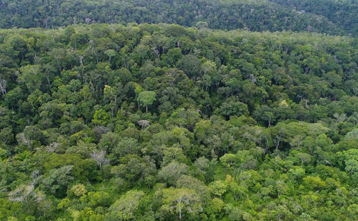 Reunidos no Tocantins, secretários de todo o país alinham temas importantes para a política ambiental brasileira - Foto: Fernando Alves/Governo do Tocantins