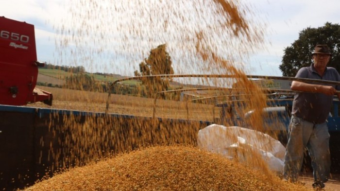 Nas lavouras de soja onde a colheita já terminou, produtores planejam estratégias de manejo e correção do solo -Foto: José Schafer