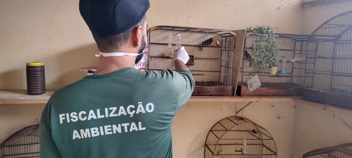 Semad / Divulgação