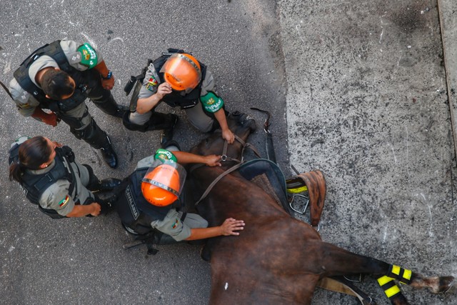Justiceira integrava a cavalaria da Brigada Militar e não apresentou nenhum sintoma, diz comandante — Foto: Lauro Alves/Agência RBS