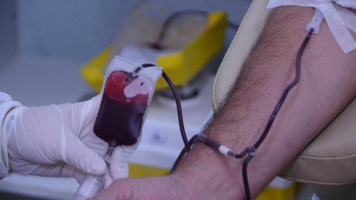 Uma bolsa de sangue salva até quatro vidas - Fotógrafo:Aline Batista