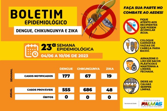 Dos casos suspeitos de dengue na última semana, dois apresentaram sinais mais graves - Fotógrafo:Divulgação Semus
