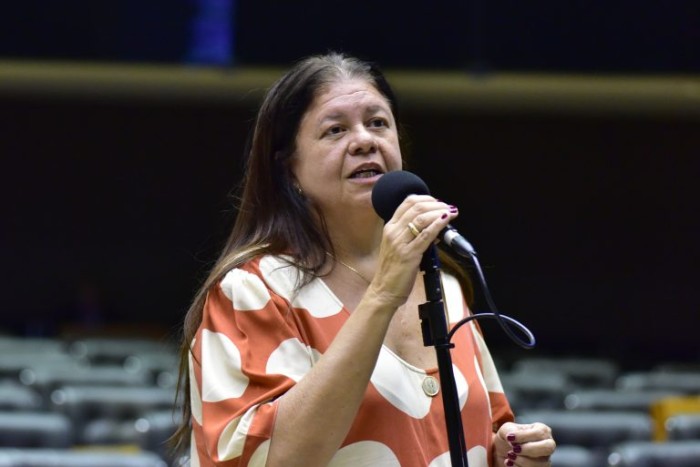 Laura Carneiro recomendou a aprovação do projeto - (Foto: Zeca Ribeiro / Câmara dos Deputados)