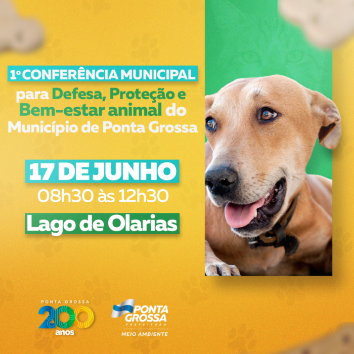 Foto: Reprodução/Prefeitura de Ponta Grossa - PR