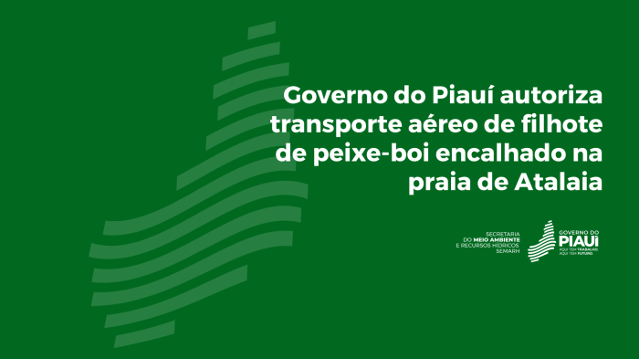 Foto: Reprodução/Secom Piauí