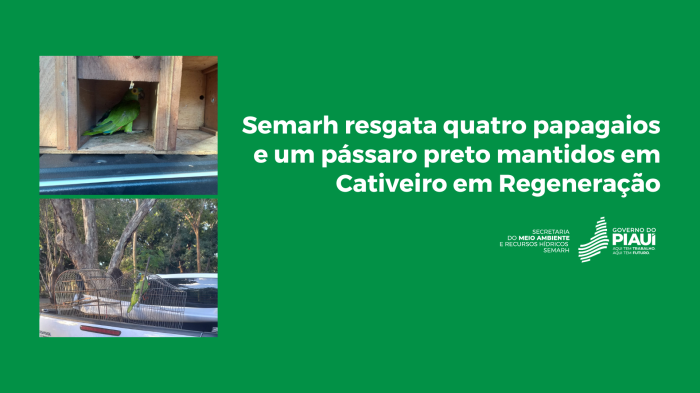 Foto: Reprodução/Secom Piauí