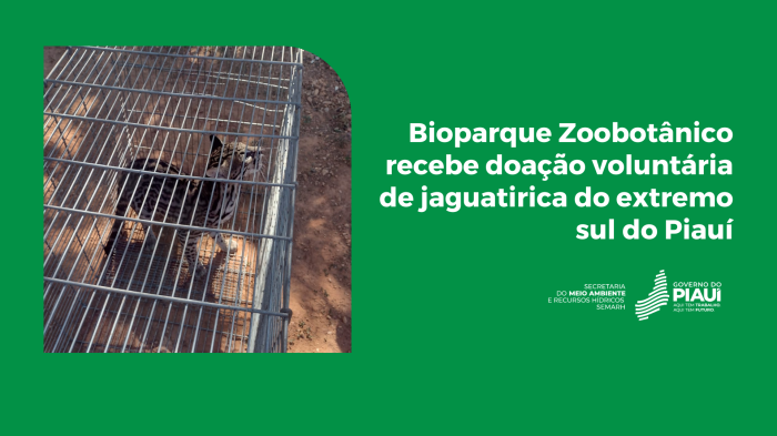 Foto: Reprodução/Secom Piauí