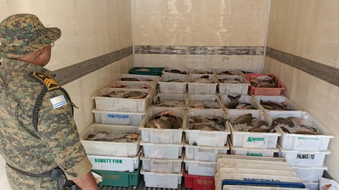 Aproximadamente duas toneladas de pescado foram apreendidas pelos agentes da Guarda Metropolitana Ambiental - Fotógrafo:GMP AMBIENTAL