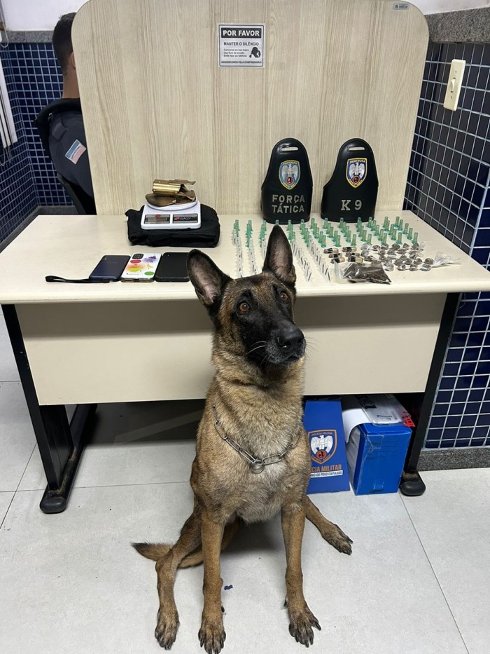 Foto: Reprodução/Polícia Militar - ES