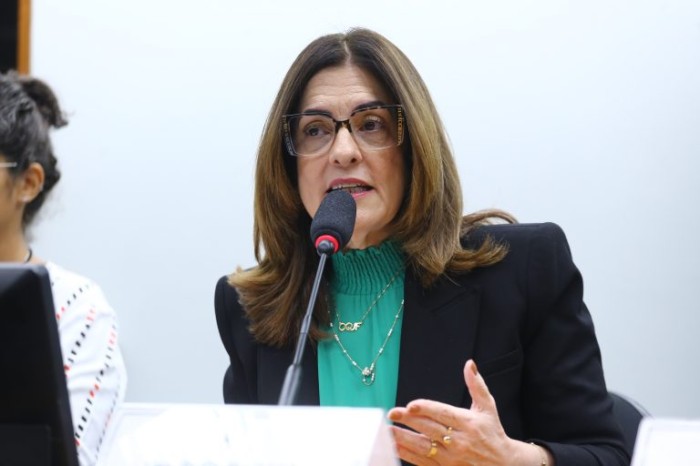 Rogéria Santos: proposta minimiza injustiça contra mulheres de baixa renda - (Foto: Vinicius Loures/Câmara dos Deputados)