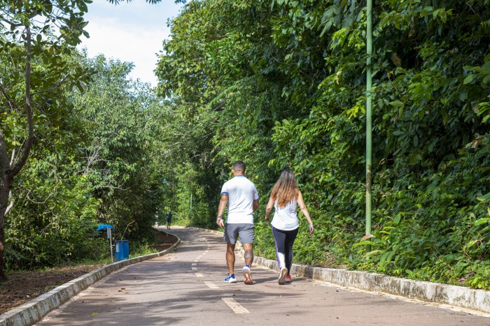 Prefeitura tem plano de prevenção e controle para estudo de manejo das capivaras e pesquisa acarológica no Cesamar - Fotógrafo:Regiane Rocha/Secom Palmas