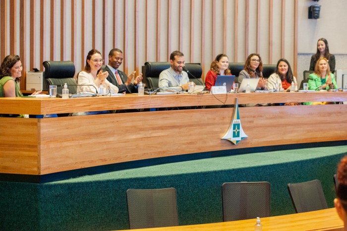 Foto: Rinaldo Morelli/ Agência CLDF