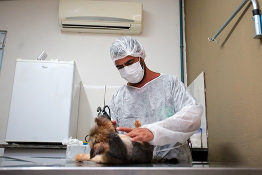 Foto: Reprodução/Prefeitura de Praia Grande - SP