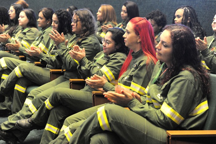 Foto: Rinaldo Morelli/Agência CLDF