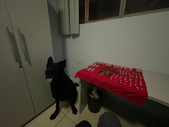 Foto: Reprodução/Polícia Militar - ES