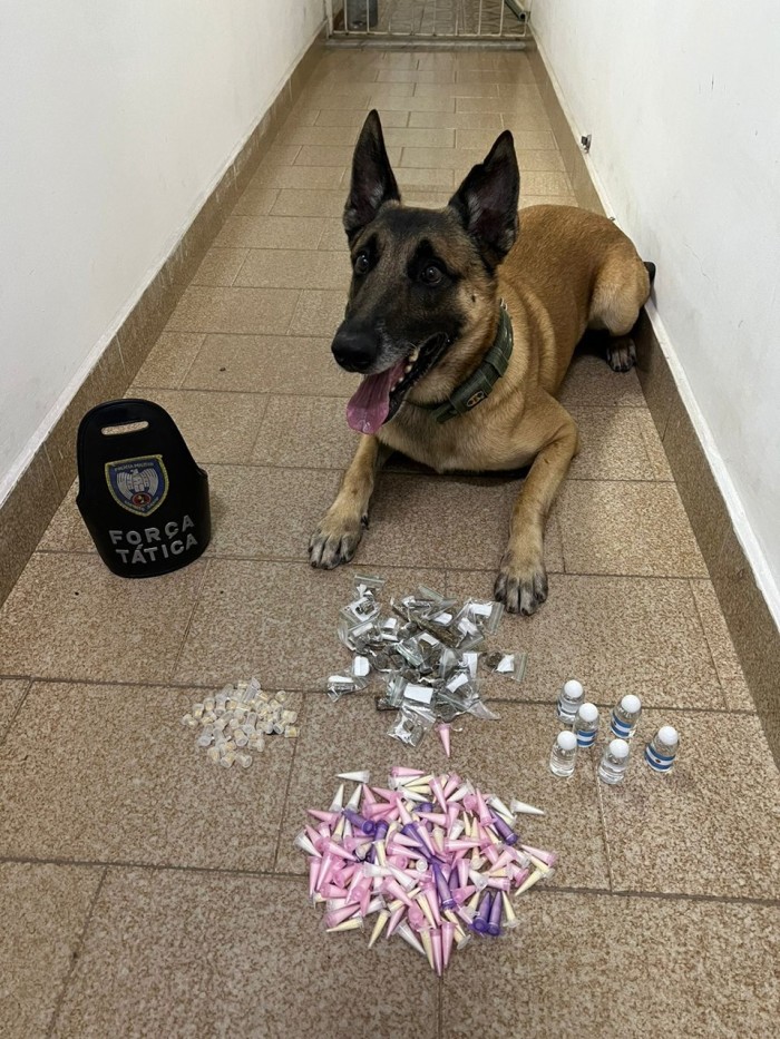 Foto: Reprodução/Polícia Militar - ES