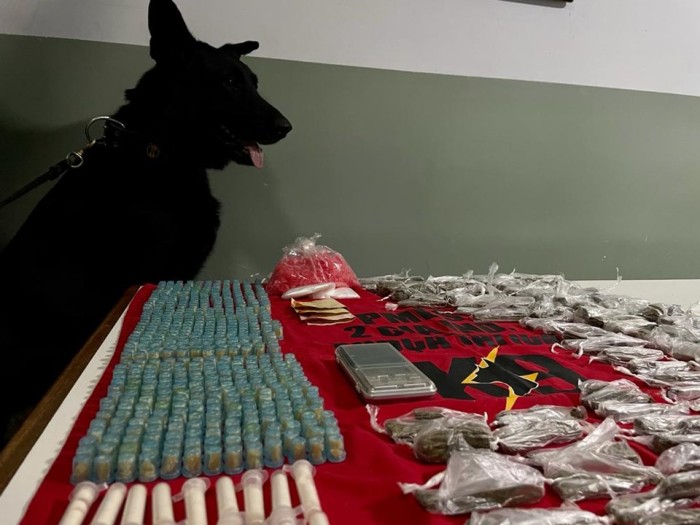 Foto: Reprodução/Polícia Militar - ES