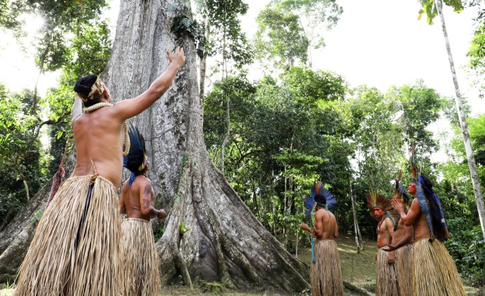 Foto: Reprodução/Secom Acre