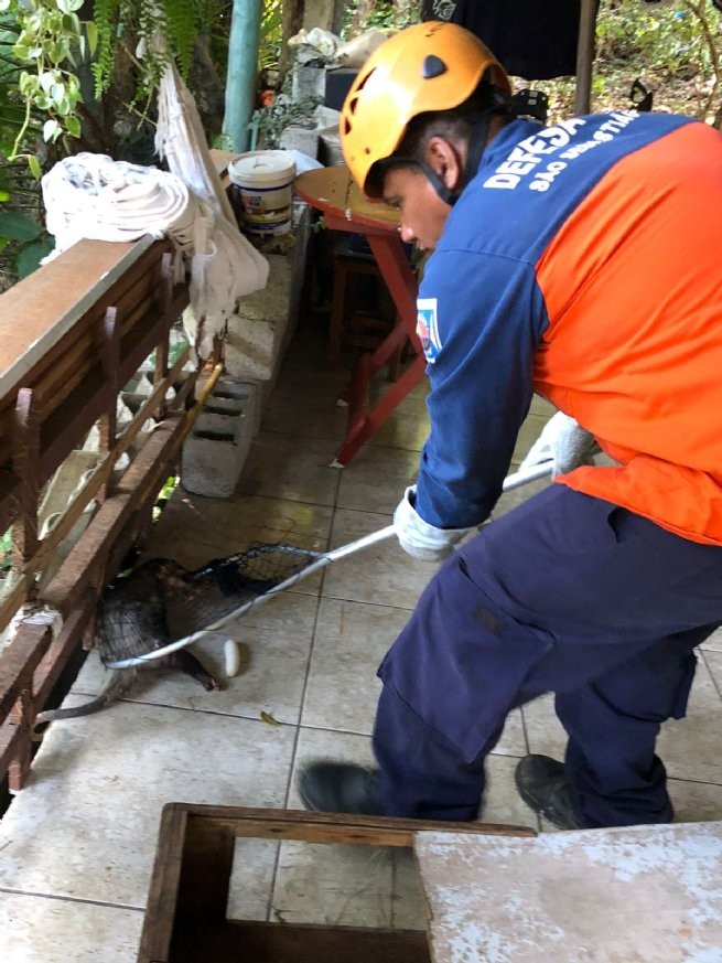 Foto: Reprodução/Prefeitura de São Sebastião - SP