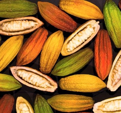 Brasil BioFuels