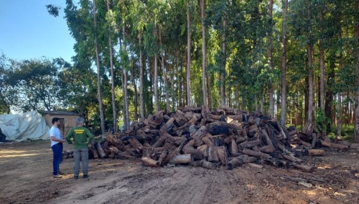 Foto: Reprodução/Secom Goiás