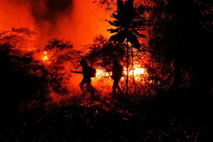 Foto: Reprodução/Secom Acre