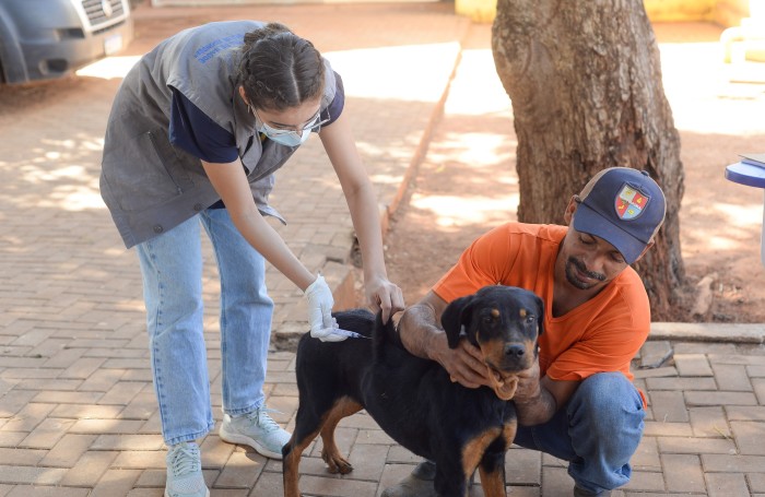 Vacina antirrábica é única forma de prevenir doença e manter pets saudáveis - Fotógrafo:Raiza Milhomem/ Ascom Semus