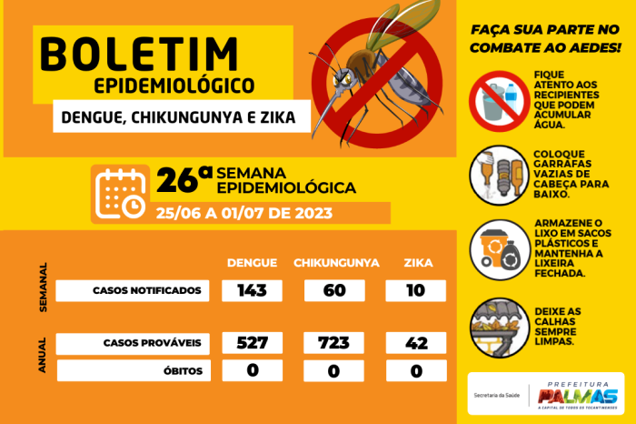 Foto: Reprodução/Prefeitura de Palmas - TO