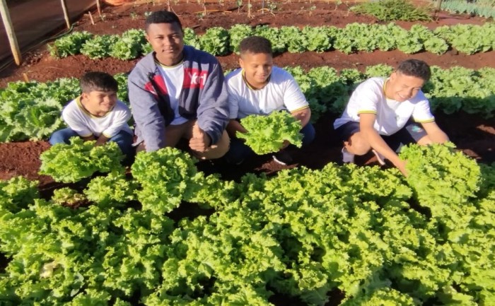Foto: Reprodução/Secom Goiás
