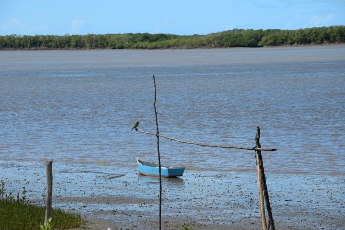 Foto: Divulgação/Ascom Inema