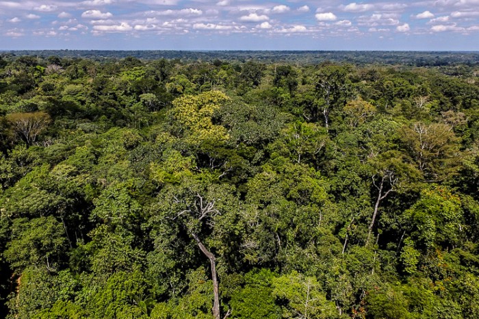 Foto: Reprodução/Secom Acre