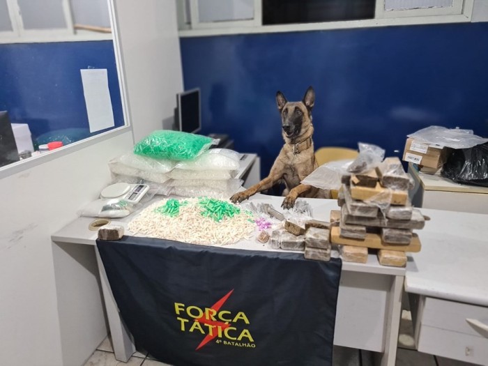 Foto: Reprodução/Polícia Militar - ES