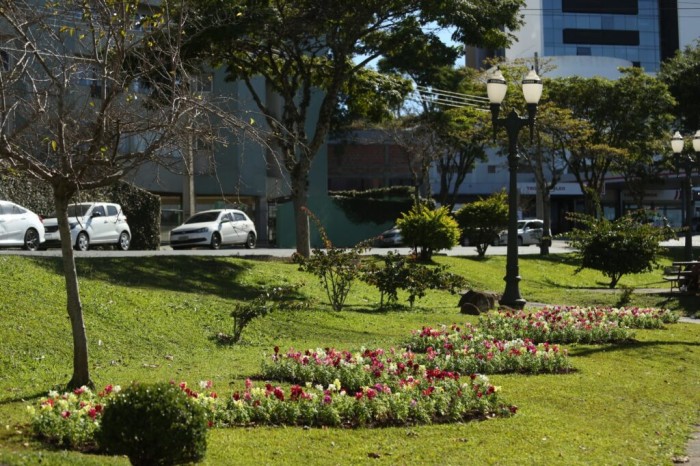 Foto: Reprodução/Prefeitura de Ponta Grossa - PR