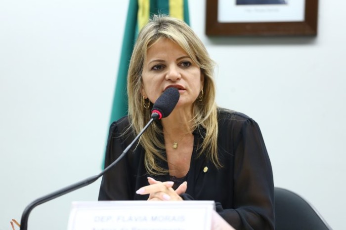 Flávia Morais, autora dos requerimentos para a realização do debate - (Foto: Vinicius Loures/Câmara dos Deputados)