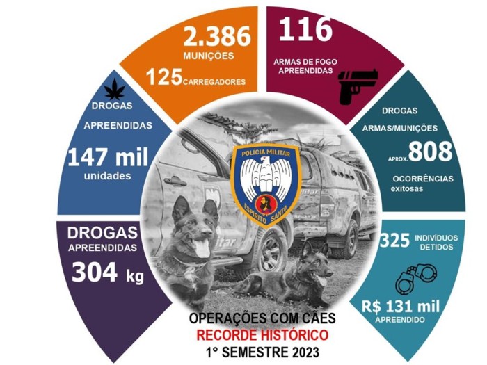 Foto: Reprodução/Polícia Militar - ES